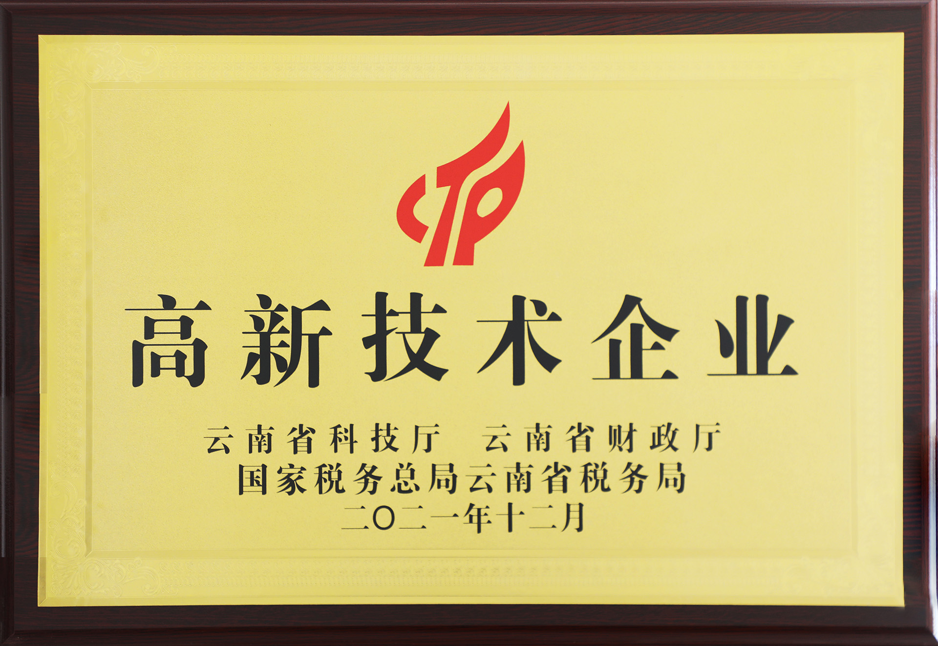 高新技术企业